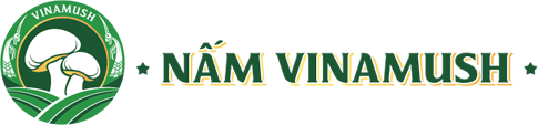 Nấm hương Vinamush