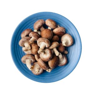 Nấm tươi B